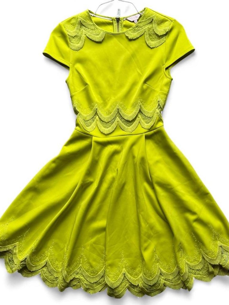 Nwt Ted Baker Scalloped Lace Fit & Flare Dress - Lime Green